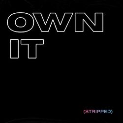 Cover of Own It (Stripped)