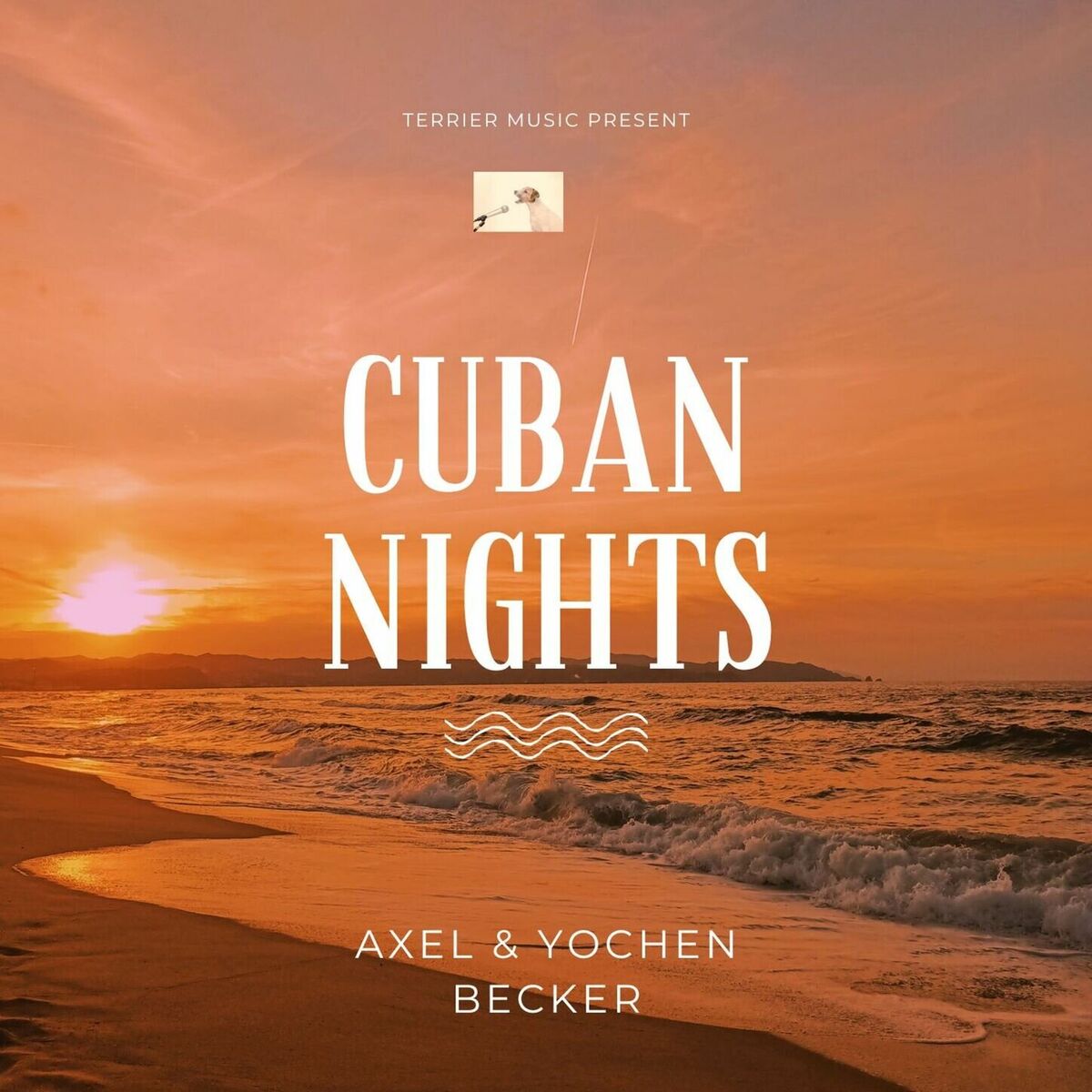 Album cover of Cuban Nights