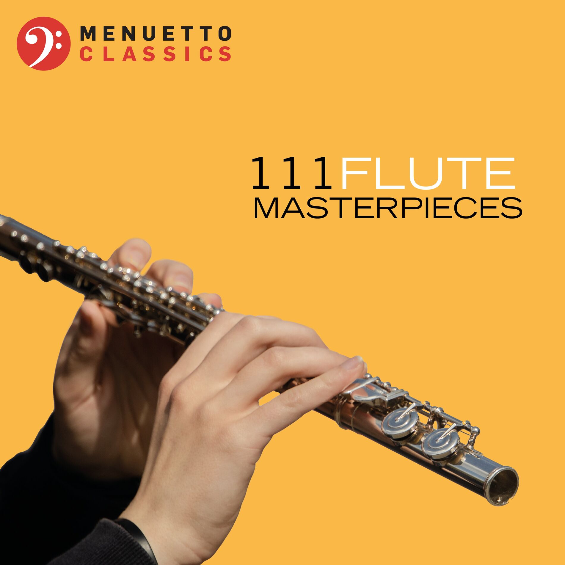 Album cover of 111 Flute Masterpieces