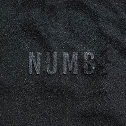music cover