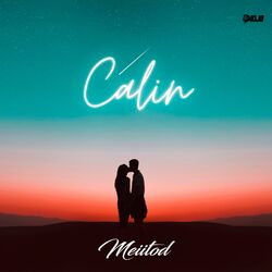 Cover of Calin