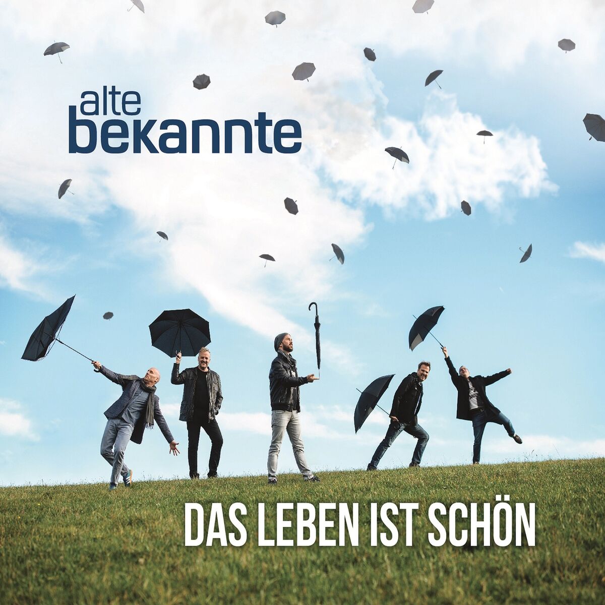 Album cover of Das Leben ist schön