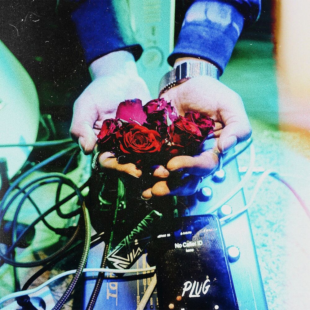 Picture of Plug