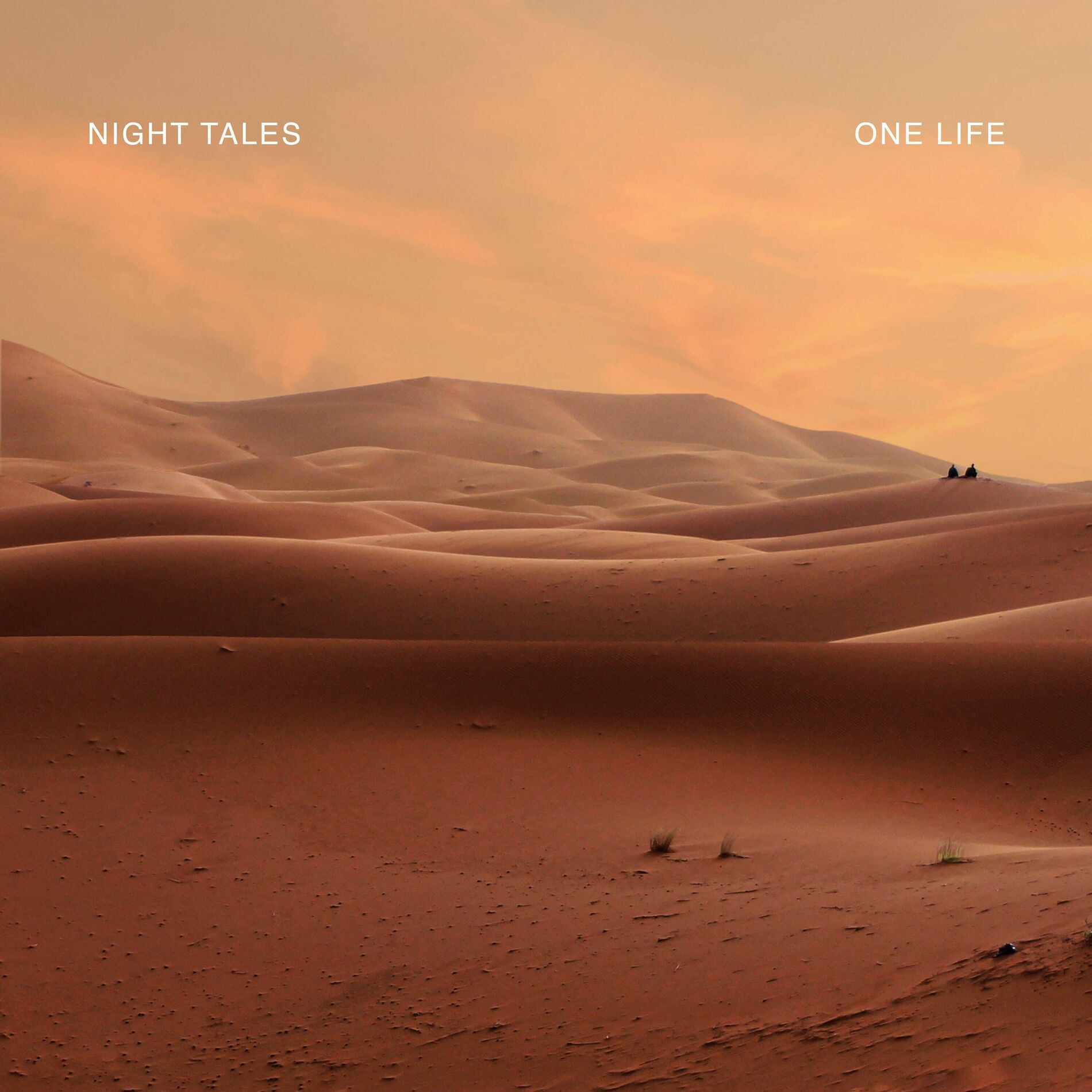 Album cover of One Life