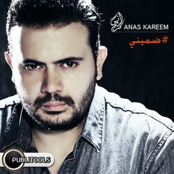 Cover of Domeni