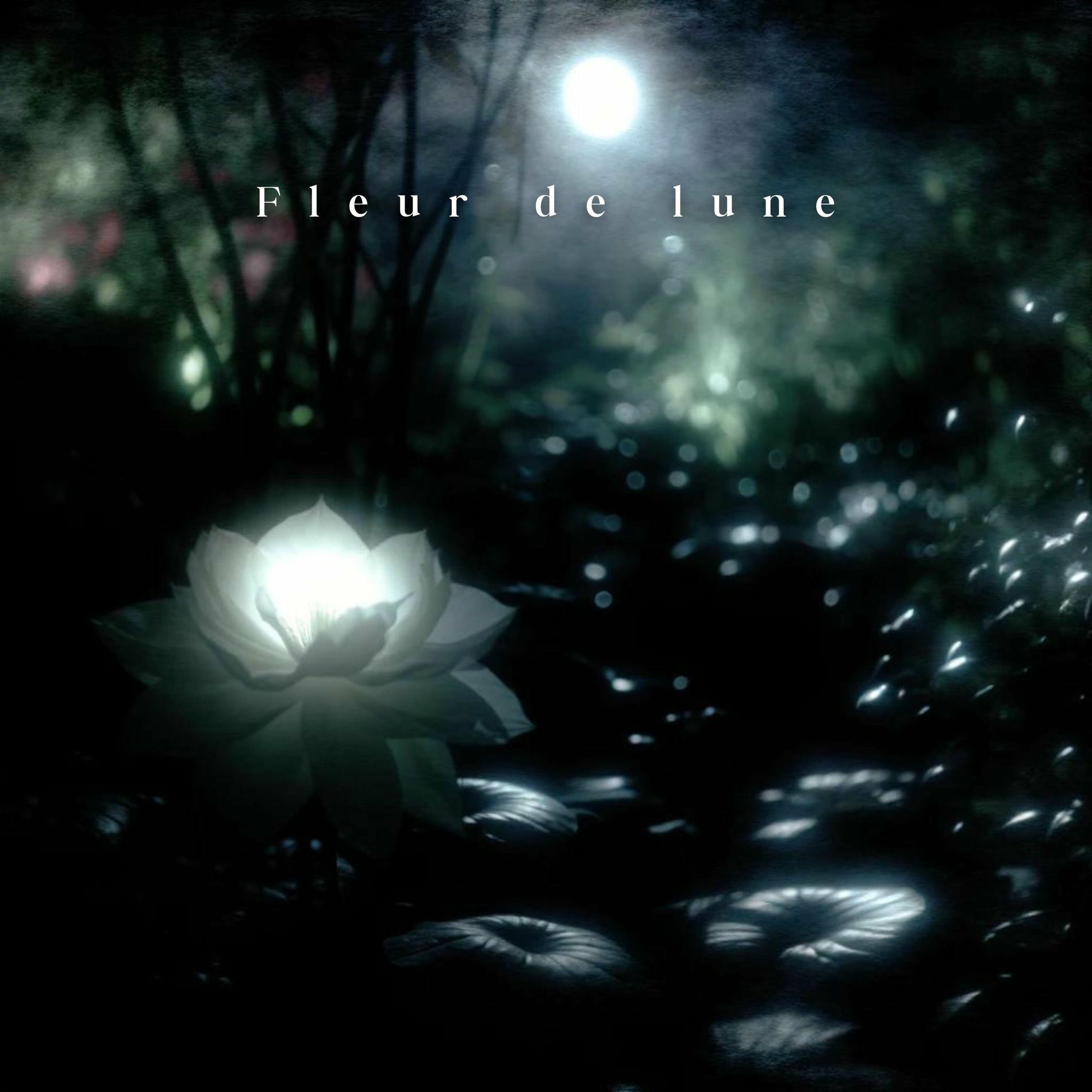 Album cover of Fleur de lune: Murmures éthérés dans le jardin des rêves