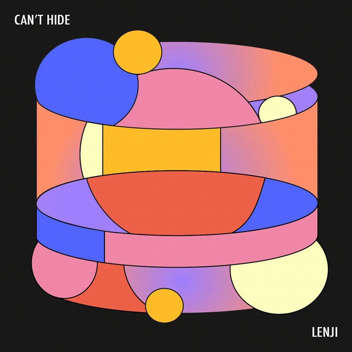 Album cover of Can't Hide