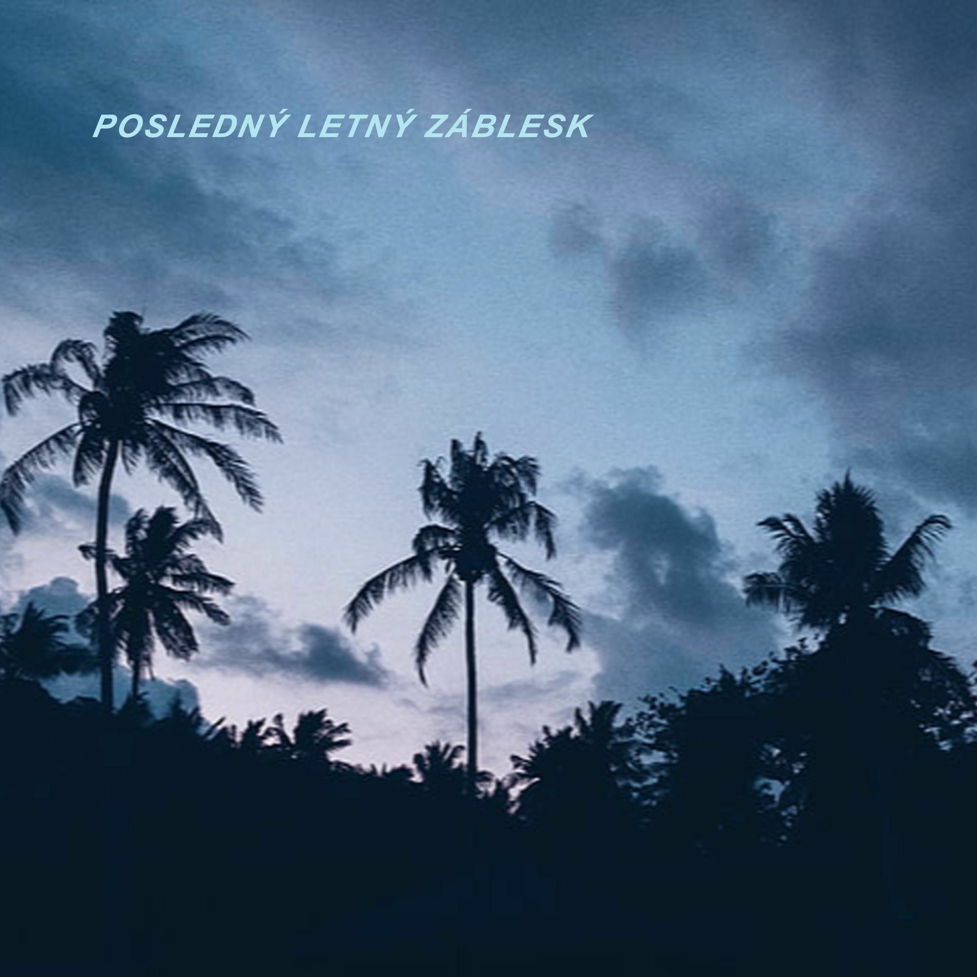 Album cover of Posledný letný záblesk