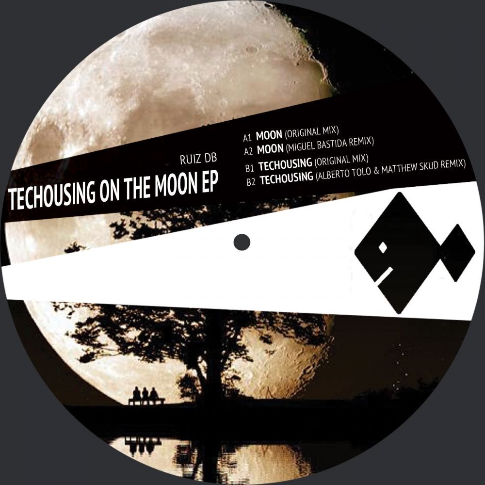 Picture of Techousing On The Moon EP