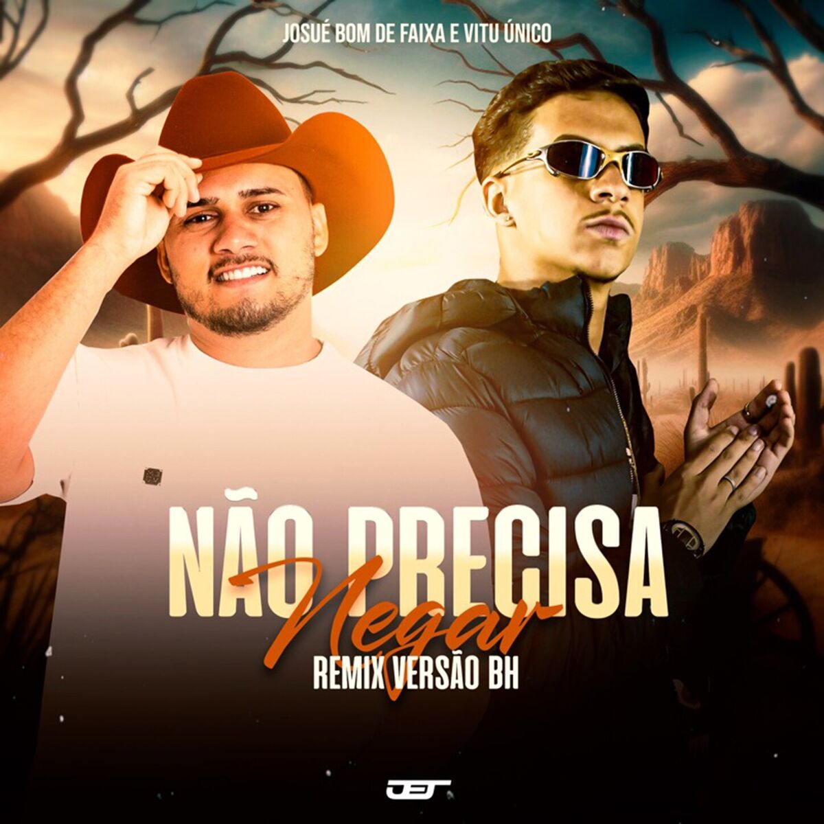 Album cover of Nao Precisa Negar (Versao Bh)