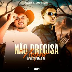 Cover of Nao Precisa Negar (Versao Bh)