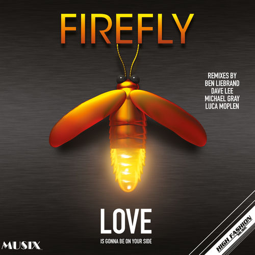 Love Is Gonna Be On Your Side (The Remixes)