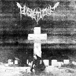 Cover of BasketCase