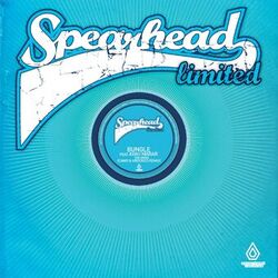 Cover of The Siren Remixes