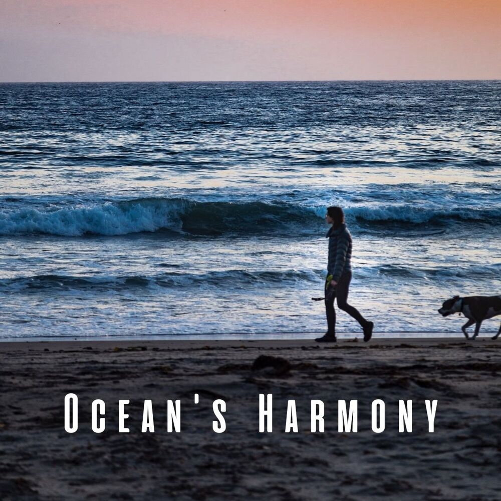Picture of Ocean's Harmony: Relaxing Sounds for Peaceful Pets
