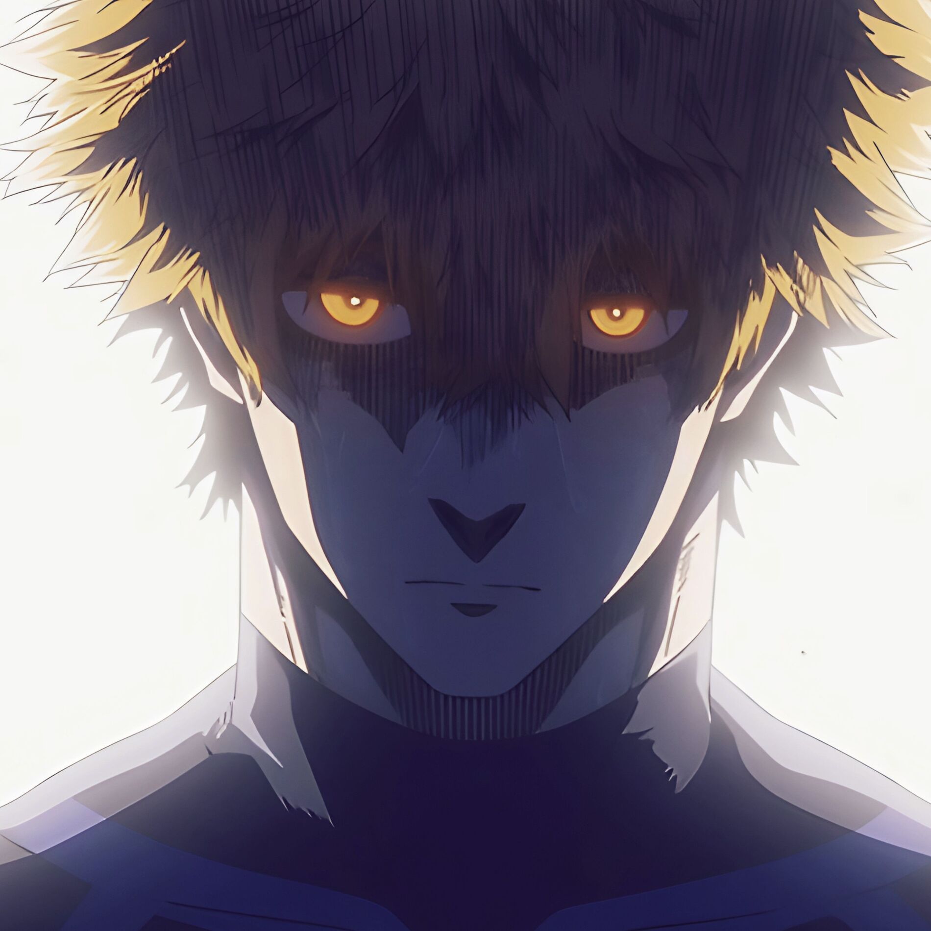 Album cover of Kunigami wildcard