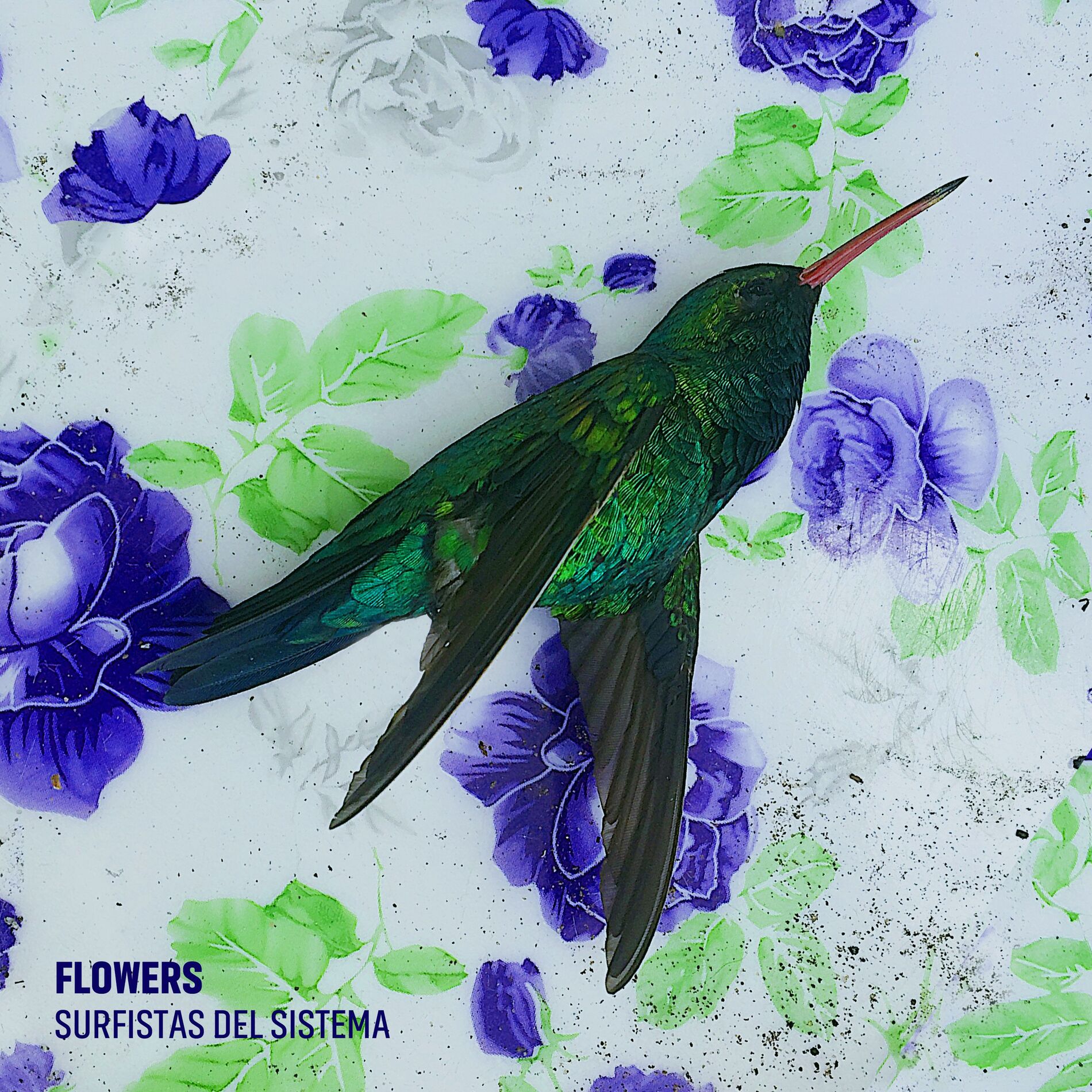 Album cover of Embrujo