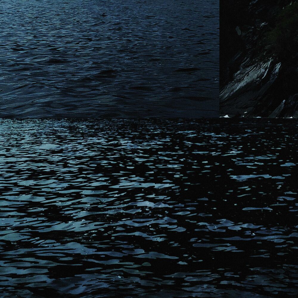 Picture of Common Water