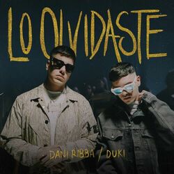 Cover of Lo Olvidaste