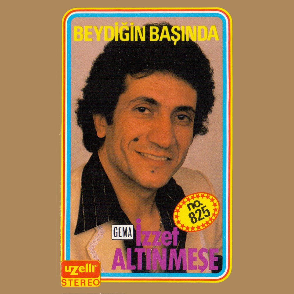 Picture of Beydiğin Başında