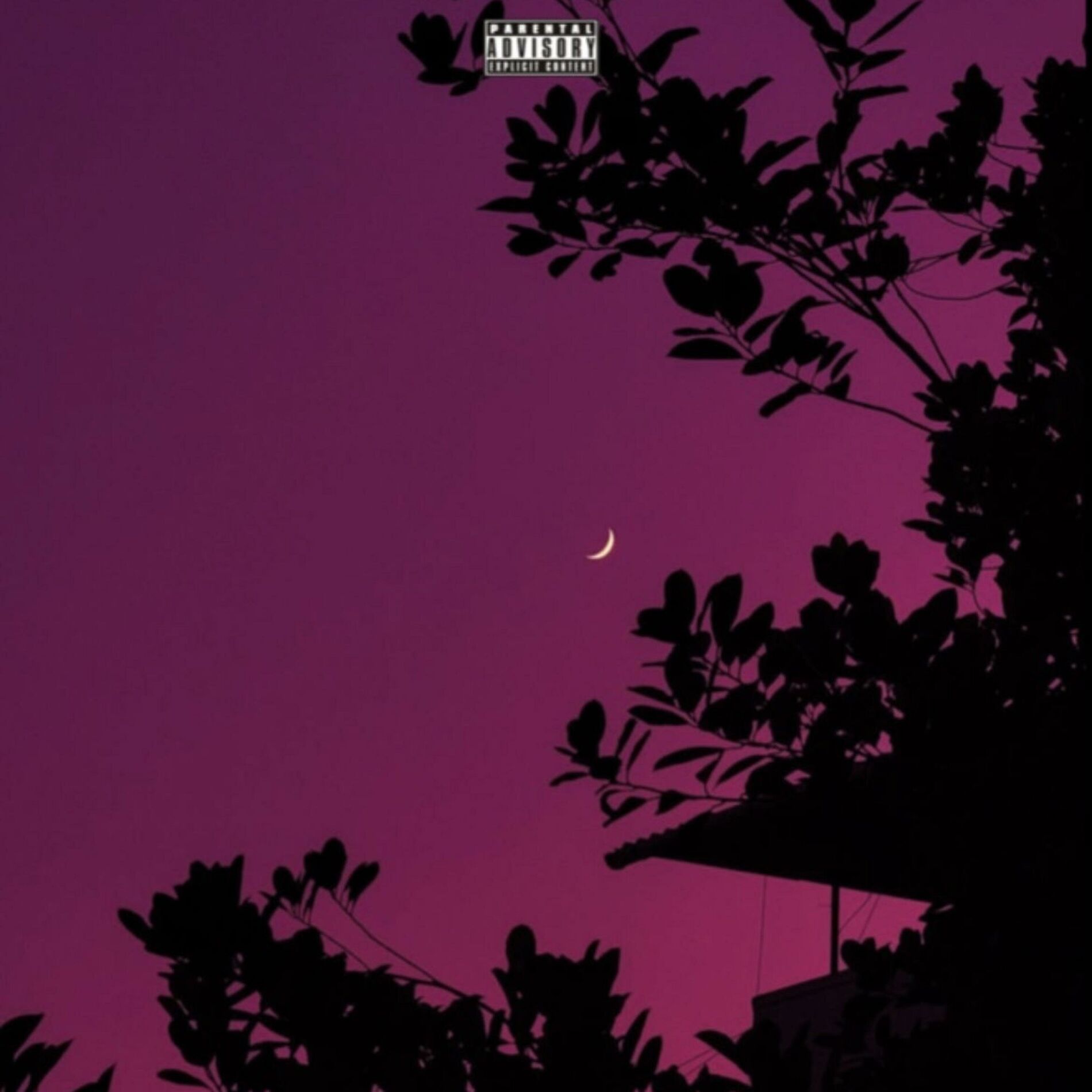 Album cover of MY PINK SKY