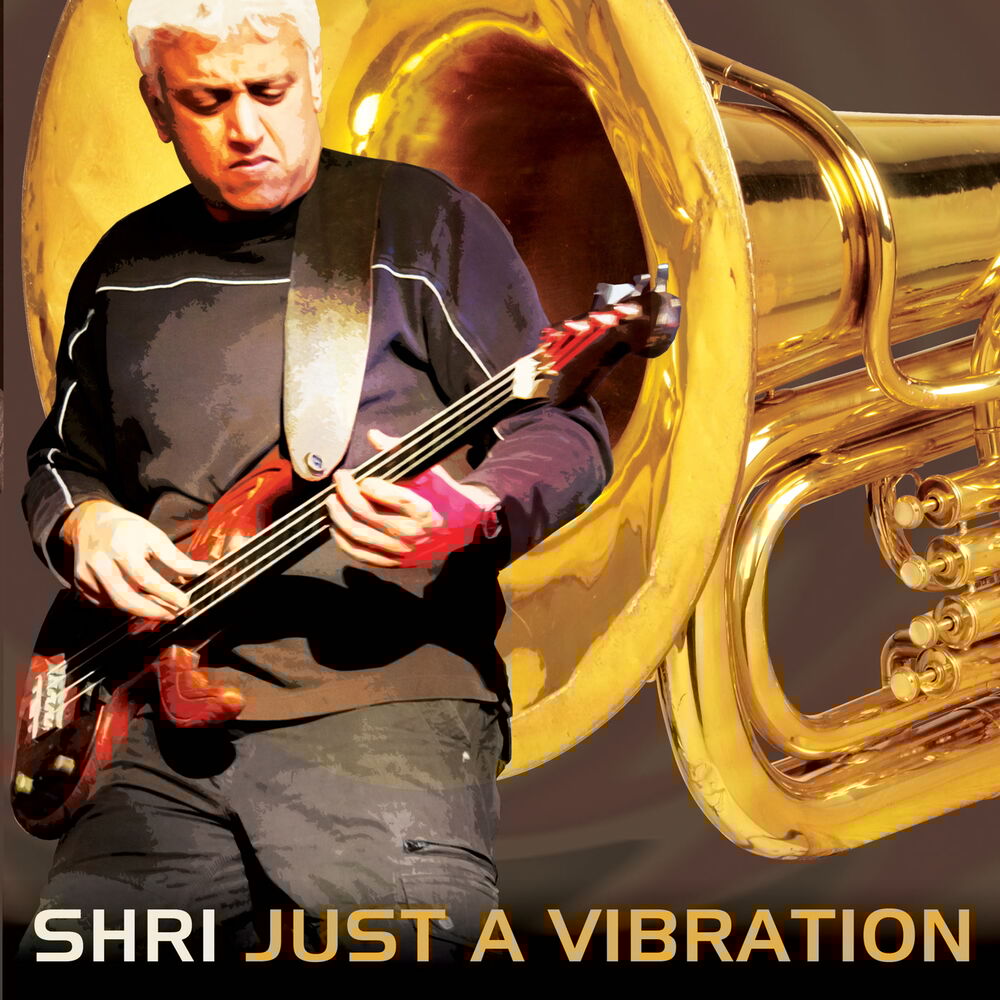 Picture of Just a Vibration