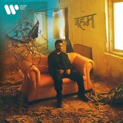 Cover of Veham