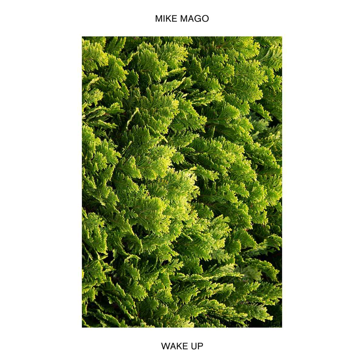 Album cover of Wake Up