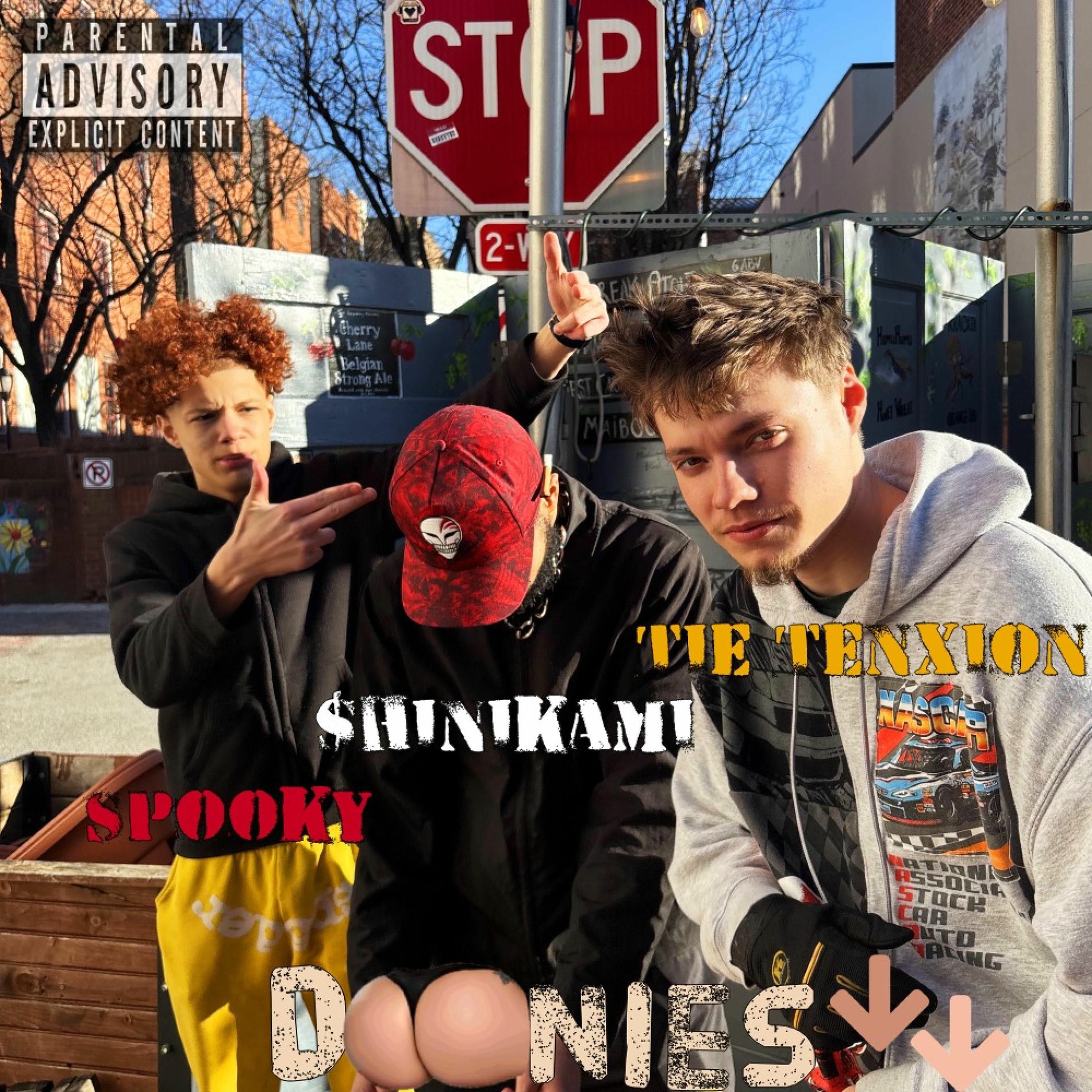 Album cover of Doonies Down (feat. $hinikami of 717 & Spooky)