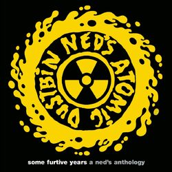 some furtive years - a ned's anthology