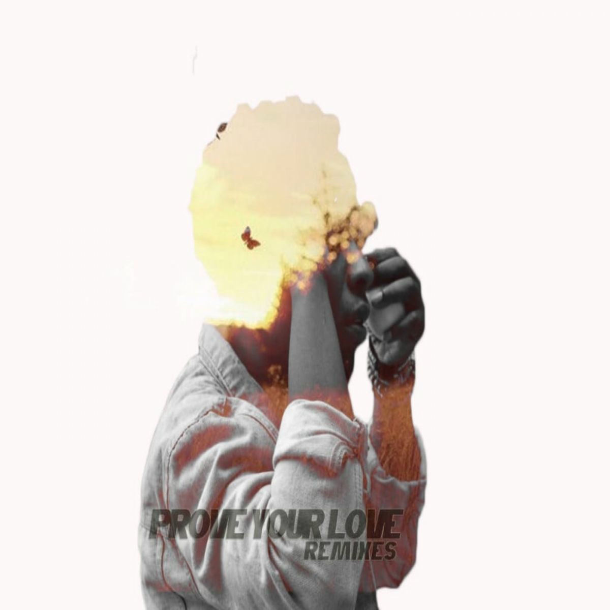Album cover of Prove Your Love