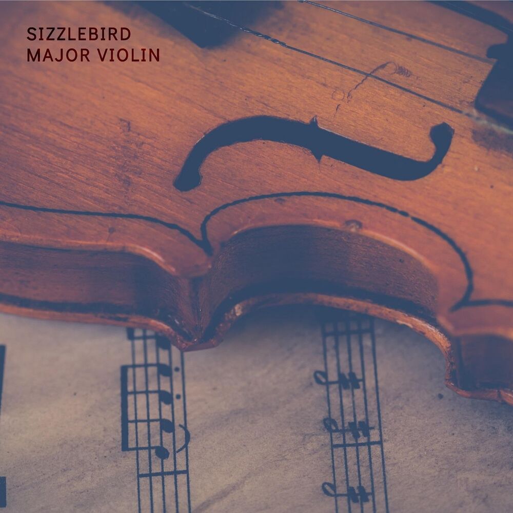 Picture of Major Violin