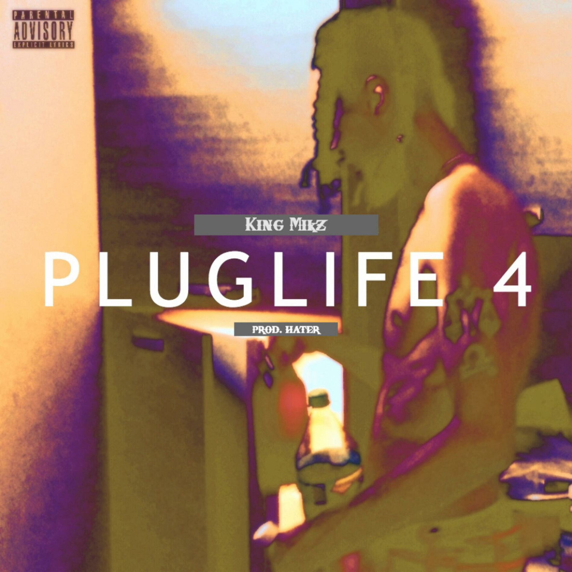 Album cover of PLUGLIFE 4