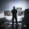 MSH MOHTAM