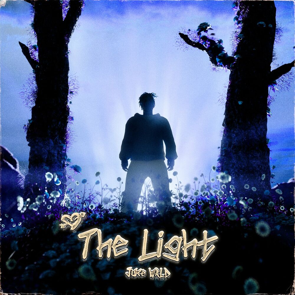 Picture of The Light