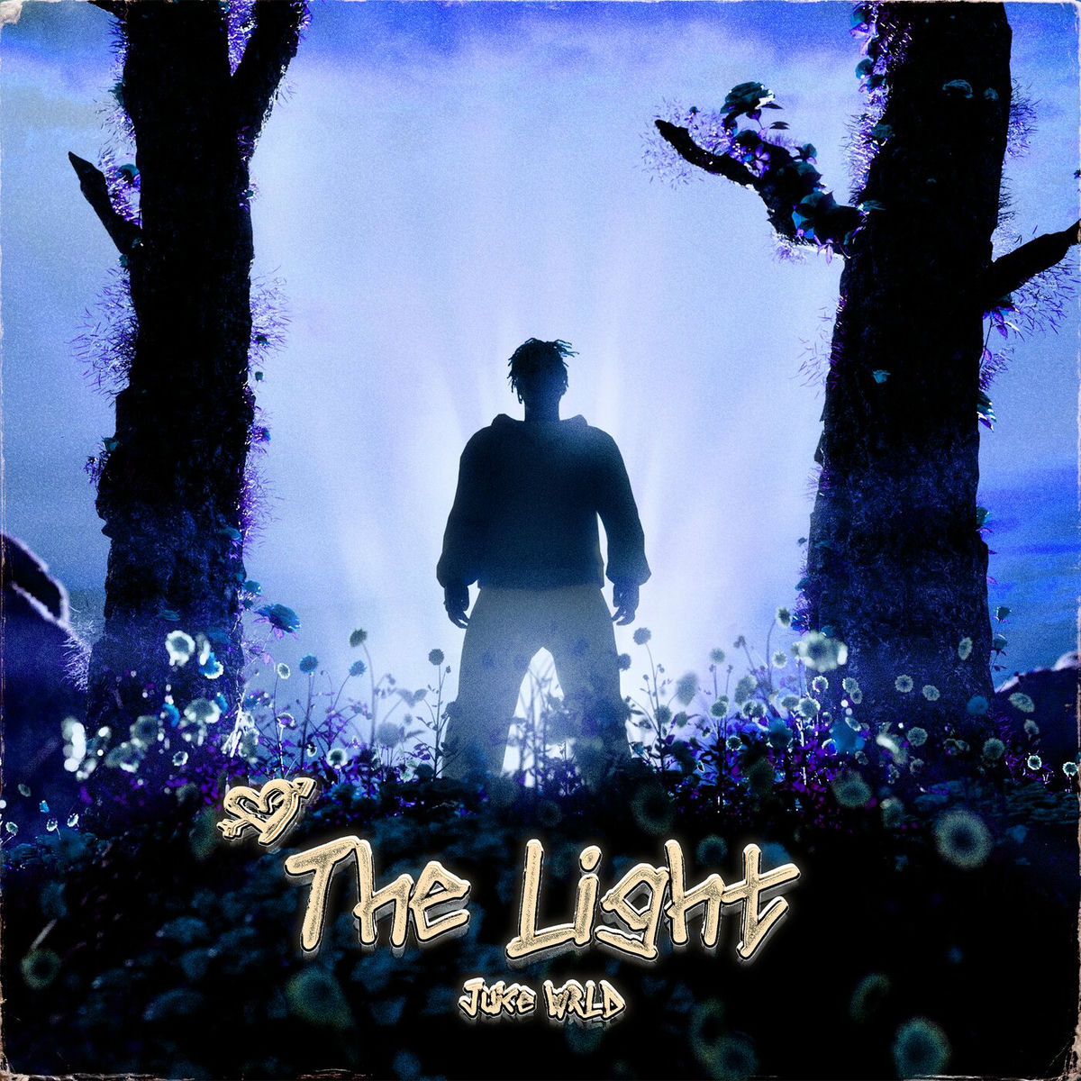 Album cover of The Light