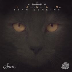 Cover of Casan