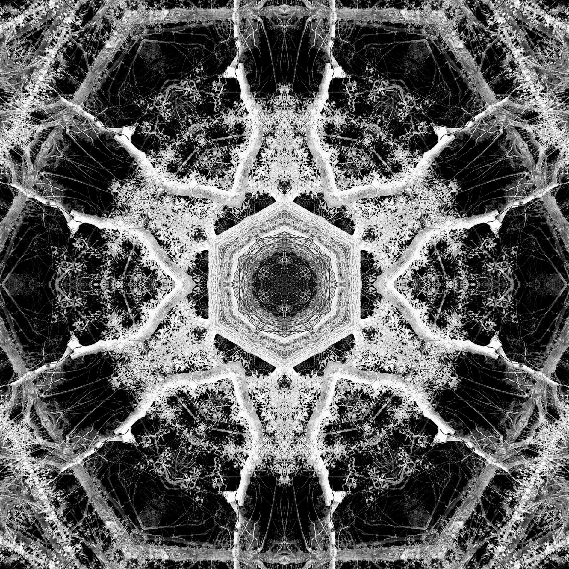 Album cover of Foolish Ambitions (feat. Ferris Wheels & Trygant) [Bonus Version]