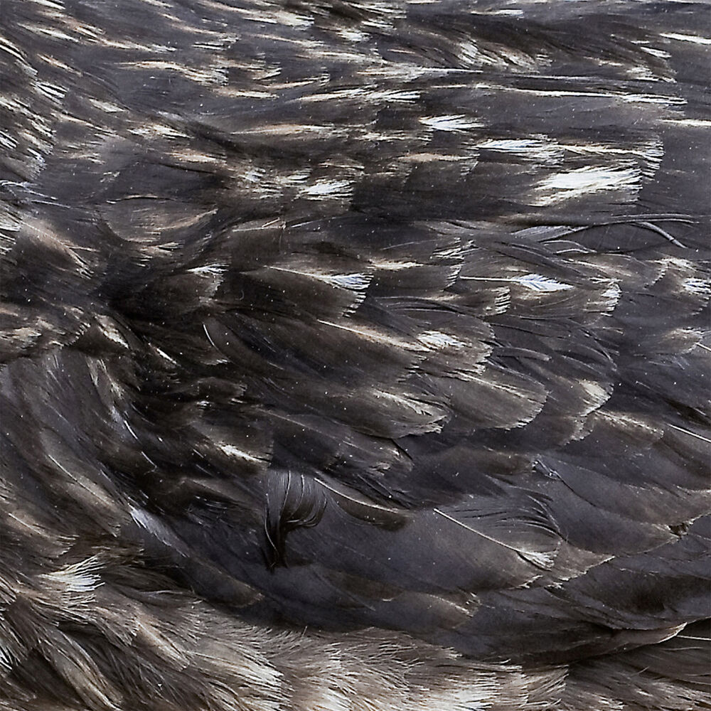 Picture of Árstíðir