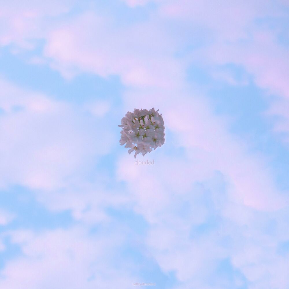 Picture of Clouded