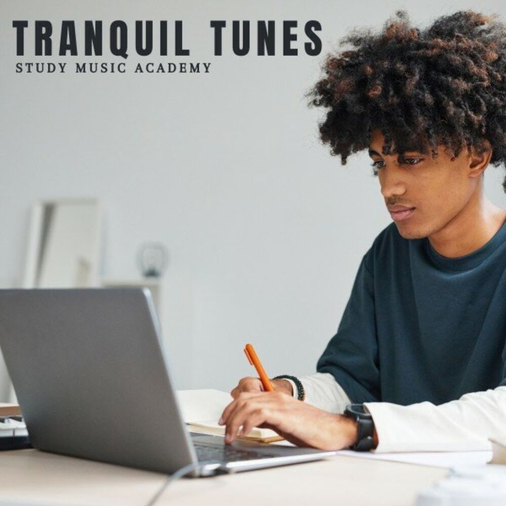 Picture of Tranquil Tunes: Focus Music