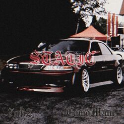Cover of STATIC (feat. Camo mane)