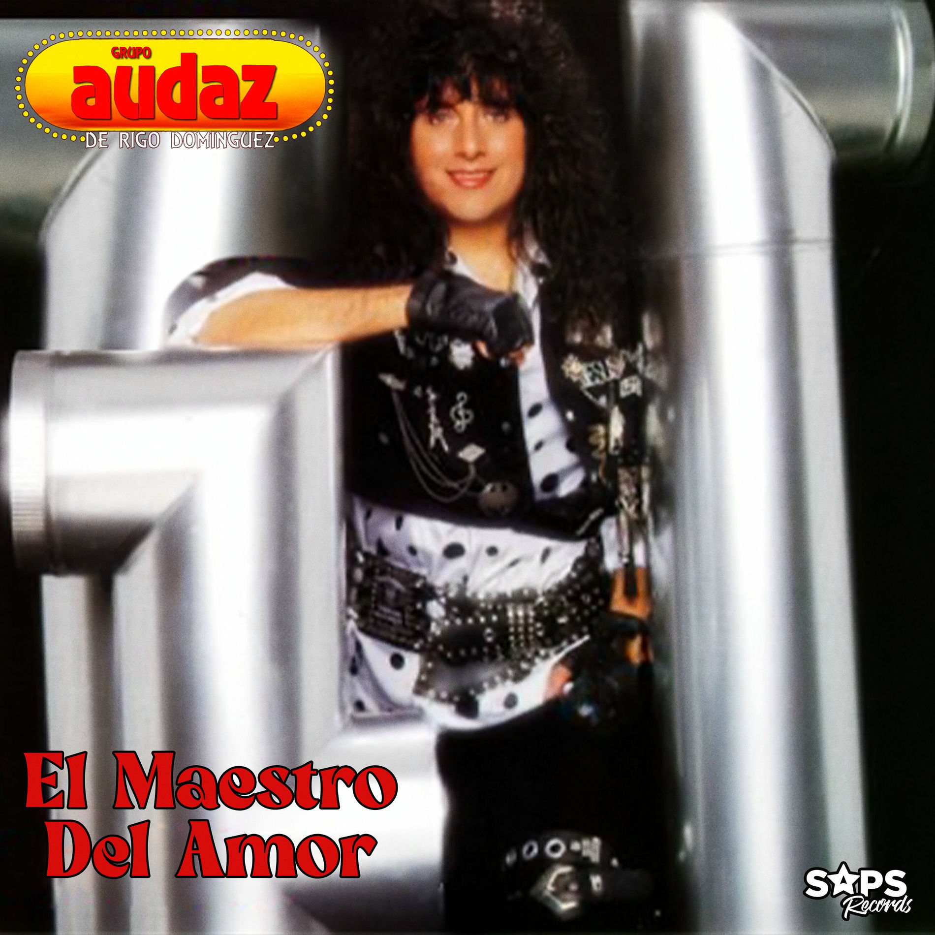 Album cover of El Maestro del Amor