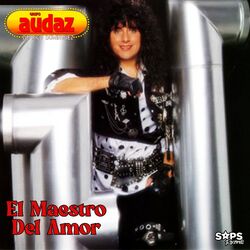 Cover of El Maestro del Amor