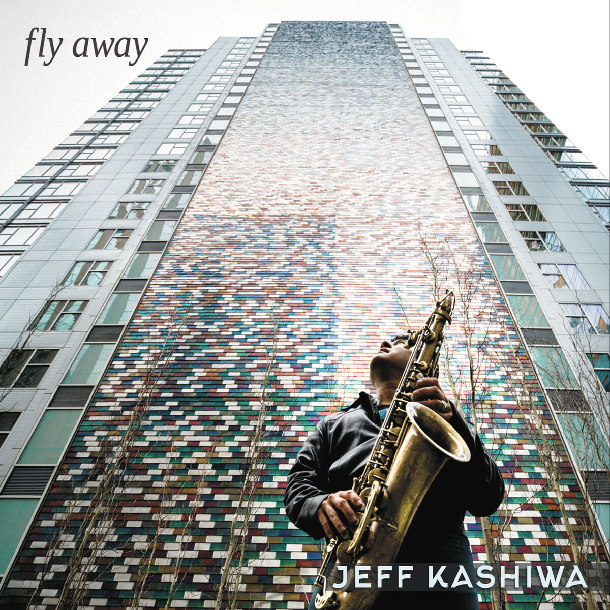 Album cover of Fly Away