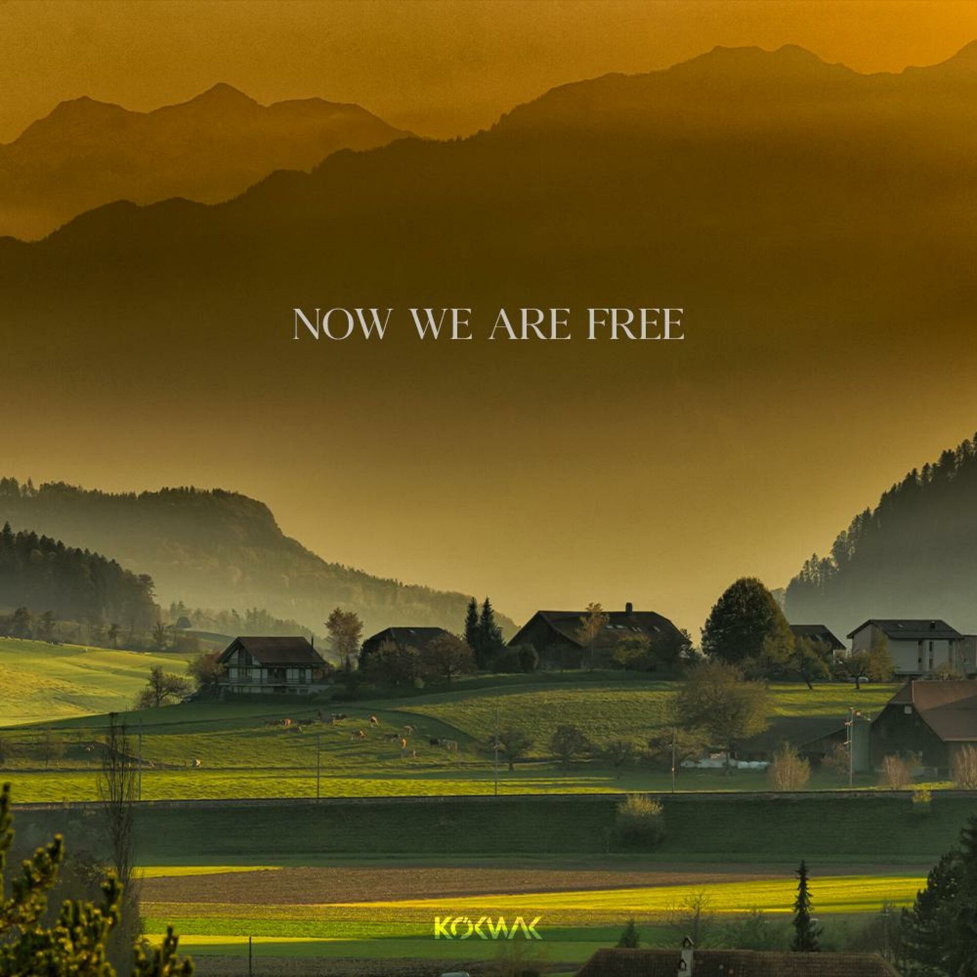 Album cover of Now We Are Free (Gladiator Hardstyle Remix)