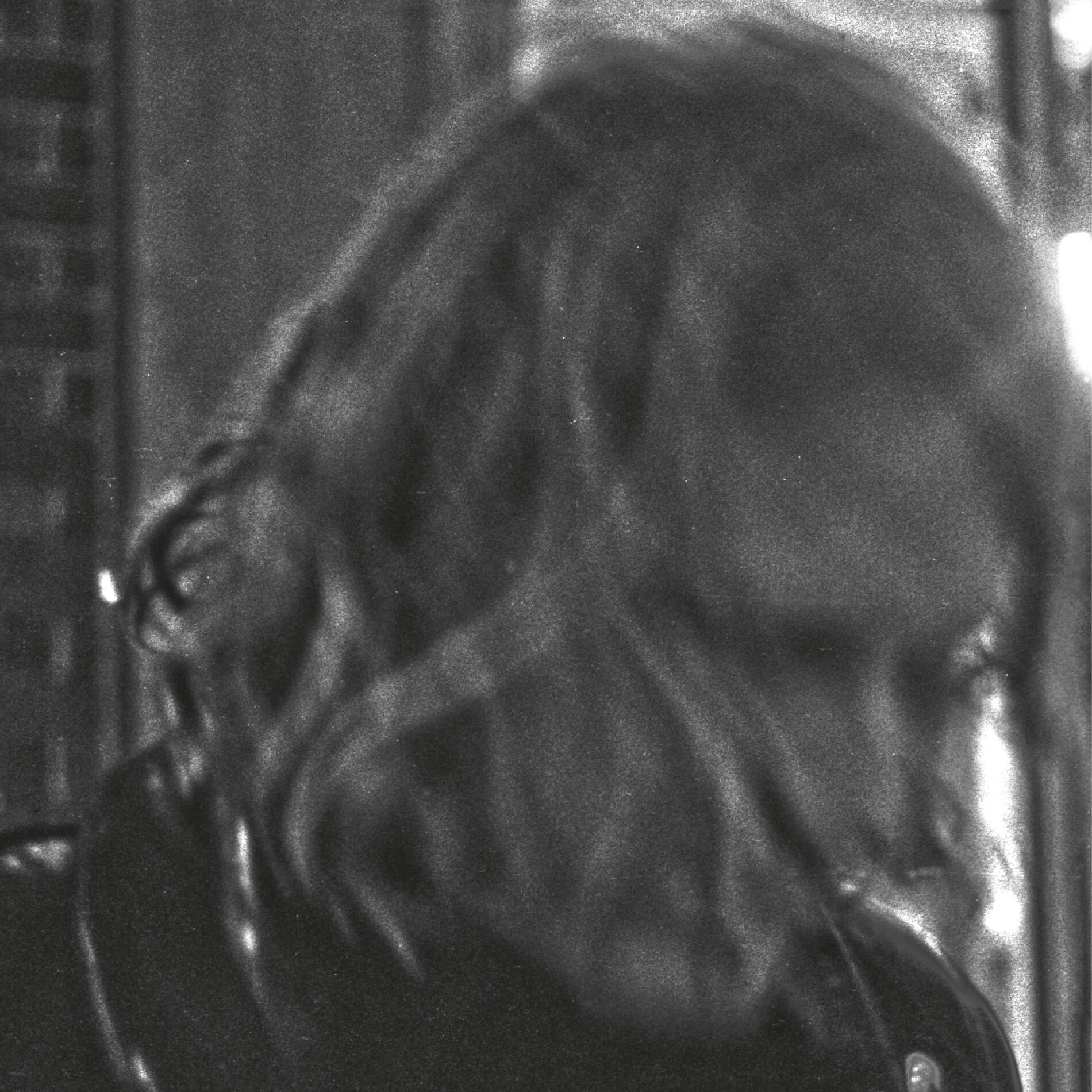 Album cover of Ty Segall