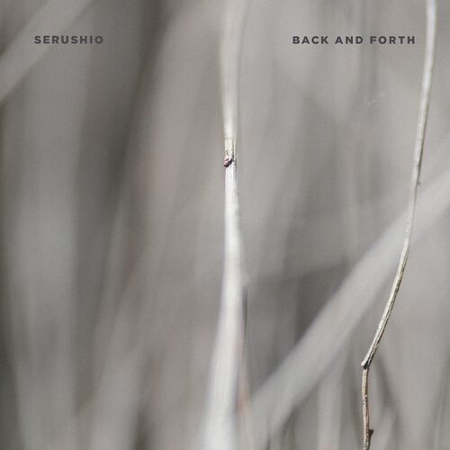 Back and Forth Cover