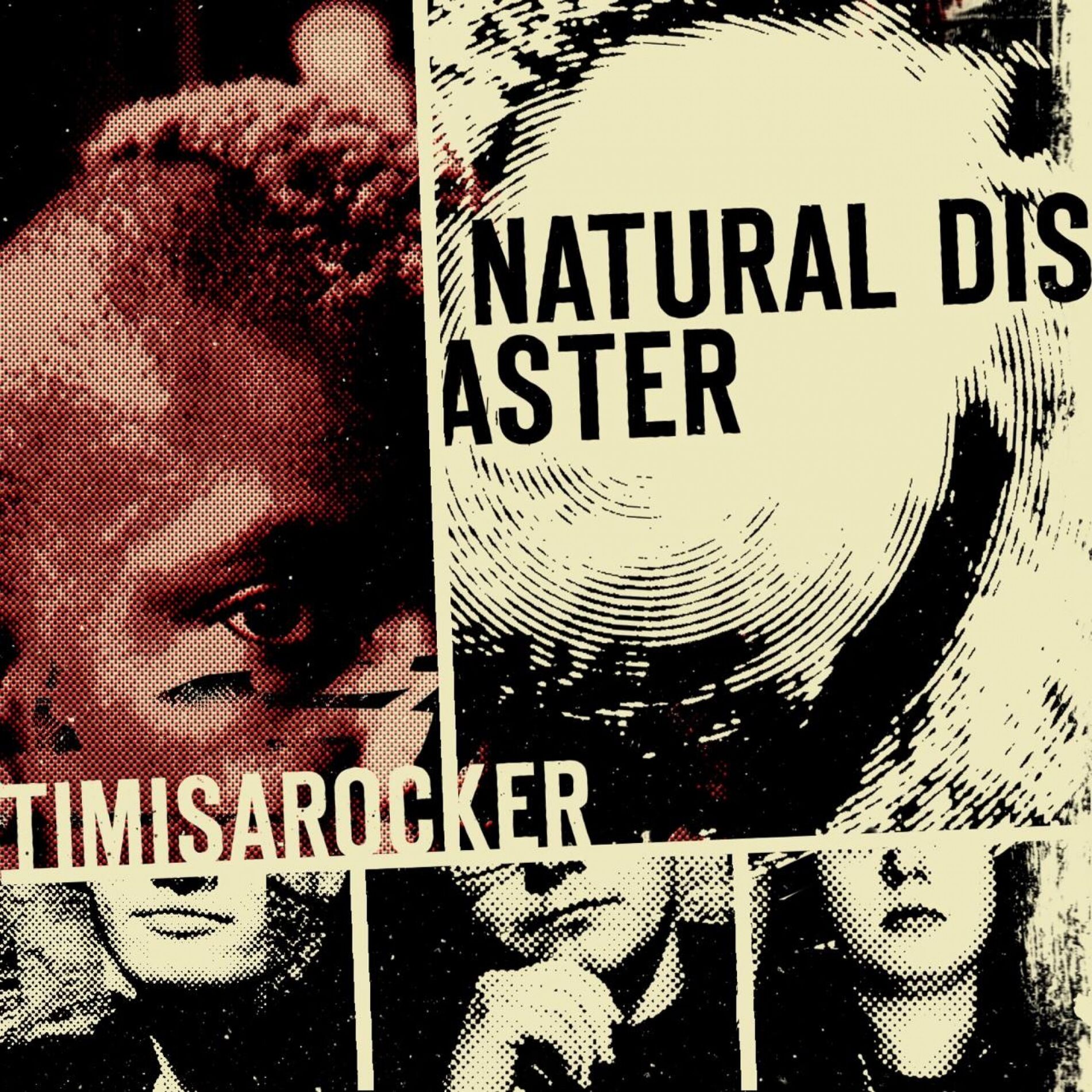 Album cover of Natural Disaster