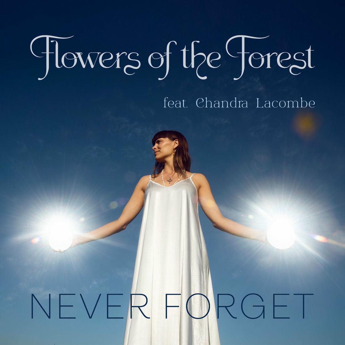 Album cover of Never Forget